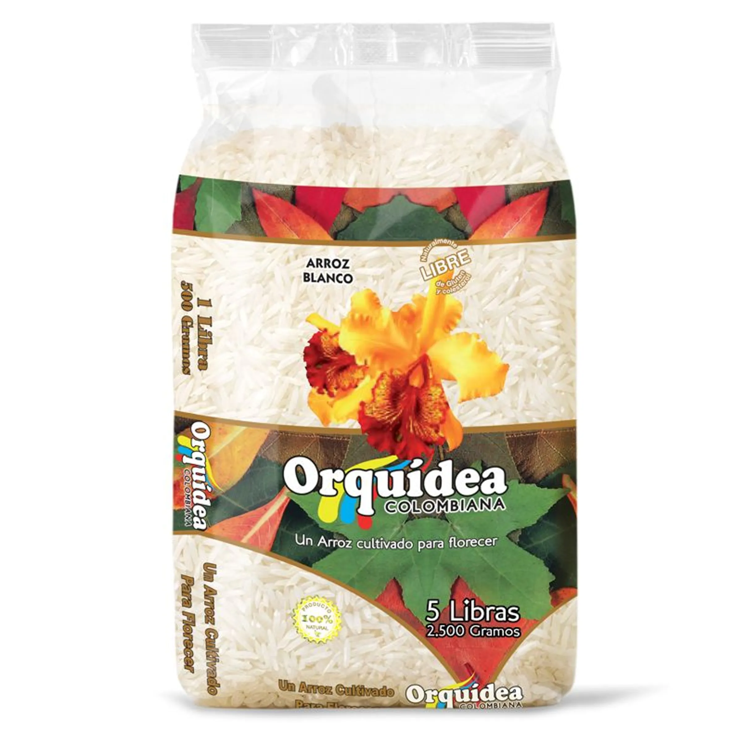 Arroz - Imagen 2
