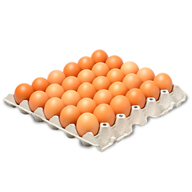 Huevos